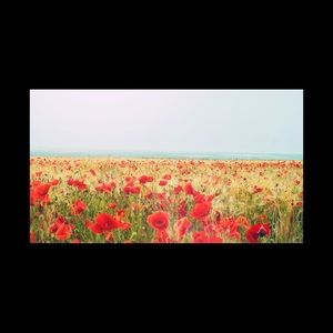 Meet your Posher, Saja